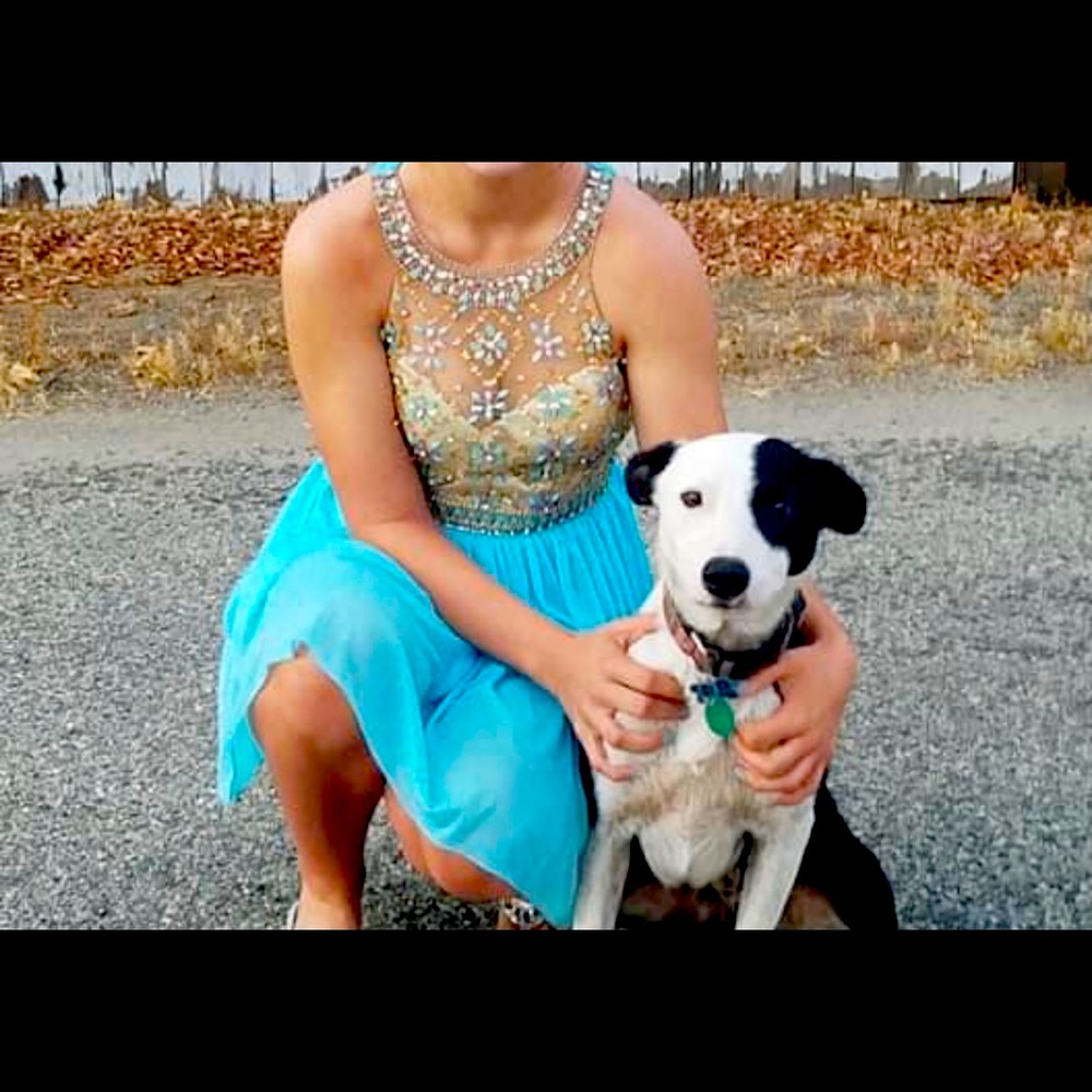 Prom dress